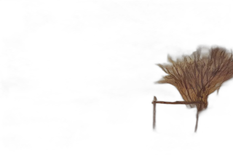 hair, staff, furniture, hat transparent PNG cut-out