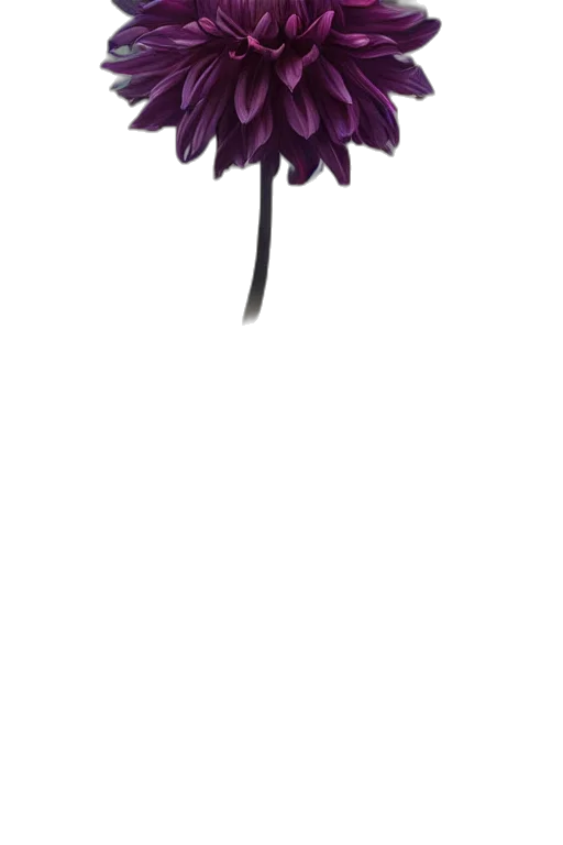 flower, staff, crown, umbrella, concept art, pixel art, photorealistic, watercolor transparent PNG cut-out
