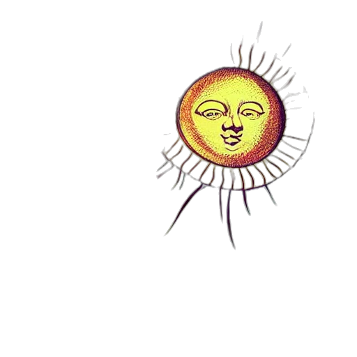 flower, face, staff, mask transparent PNG cut-out
