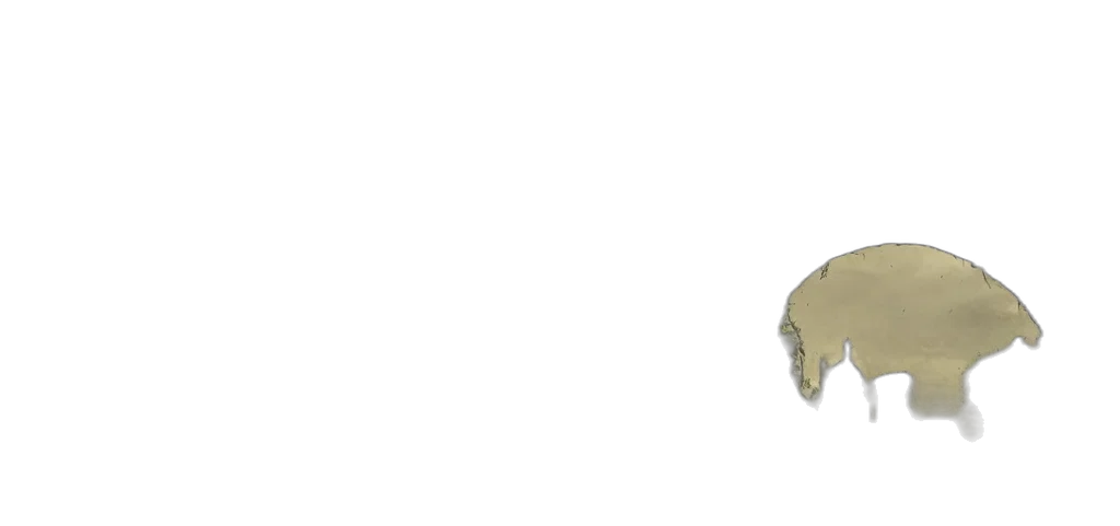 mask, jewelry, crown, hat transparent PNG cut-out