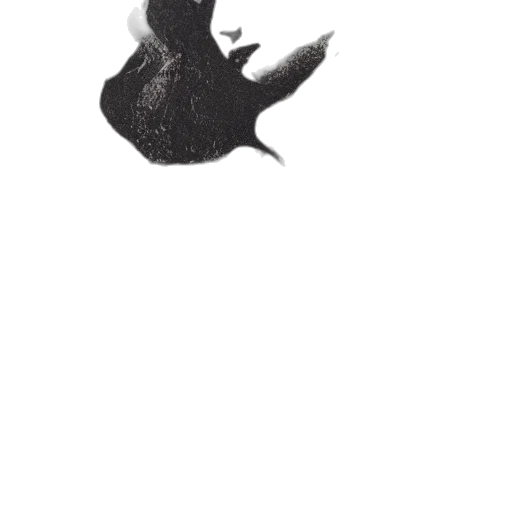 dragon, animal, mask, hat transparent PNG cut-out