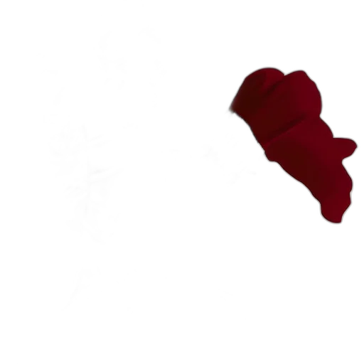 shoes, staff, umbrella, weapon transparent PNG cut-out