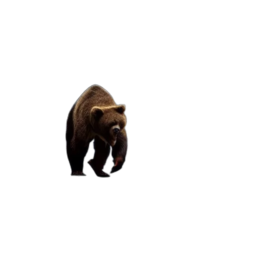 animal, creature, staff, weapon transparent PNG cut-out