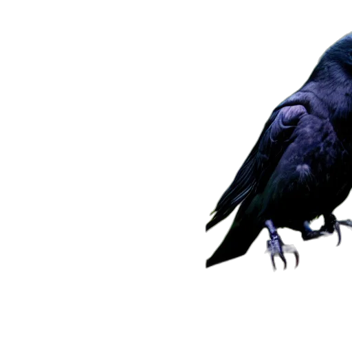 animal, creature, staff, dragon transparent PNG cut-out