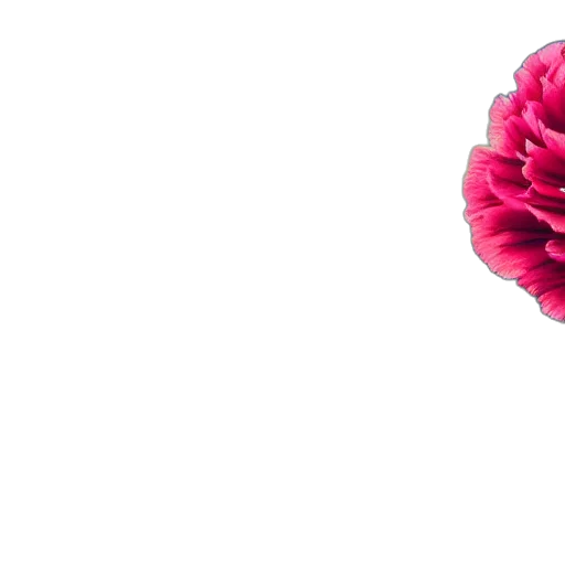 flower, crown, umbrella, jewelry, 3d render, photorealistic, pixel art, vaporwave transparent PNG cut-out