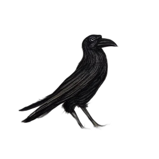 animal, hair, staff, jewelry transparent PNG cut-out
