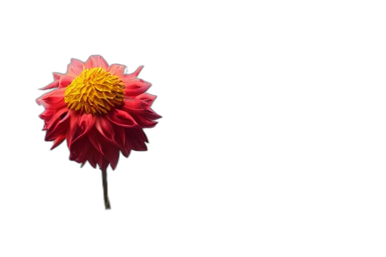 flower, crown, umbrella, staff, 3d render, photorealistic, pixel art, concept art transparent PNG cut-out