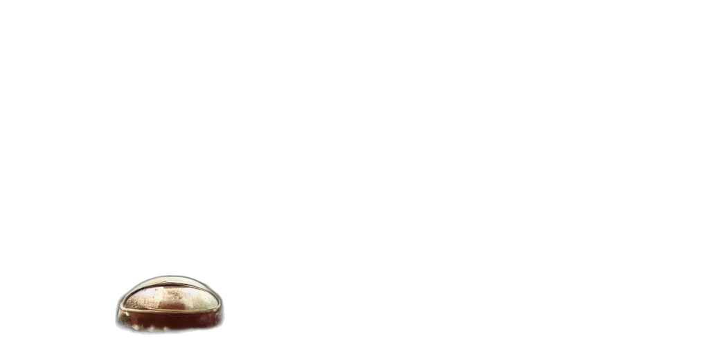 shoes, furniture, jewelry, food transparent PNG cut-out