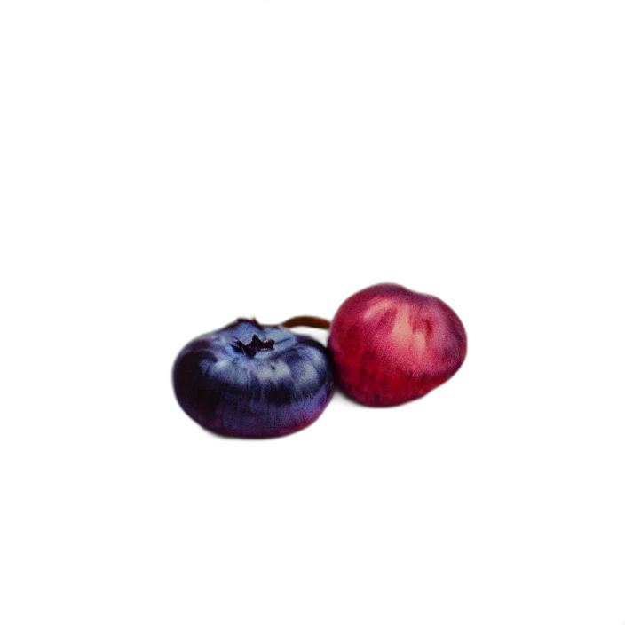 food, jewelry, crown, animal, pixel art, photorealistic, oil painting, watercolor transparent PNG cut-out