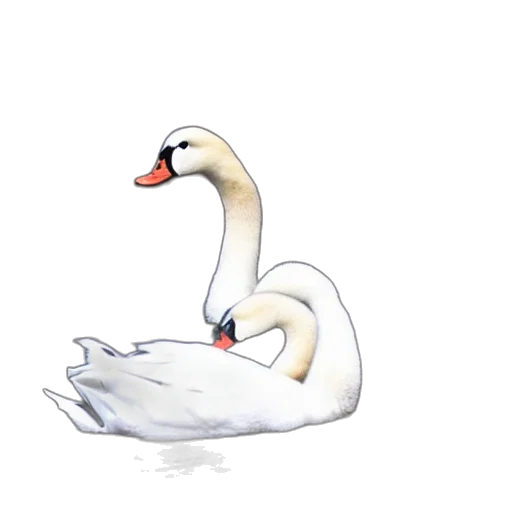 animal, creature, crown, weapon transparent PNG cut-out
