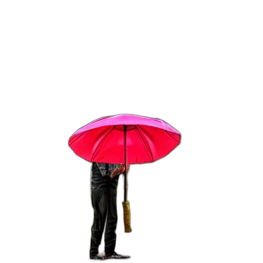 umbrella, staff, animal, hat transparent PNG cut-out