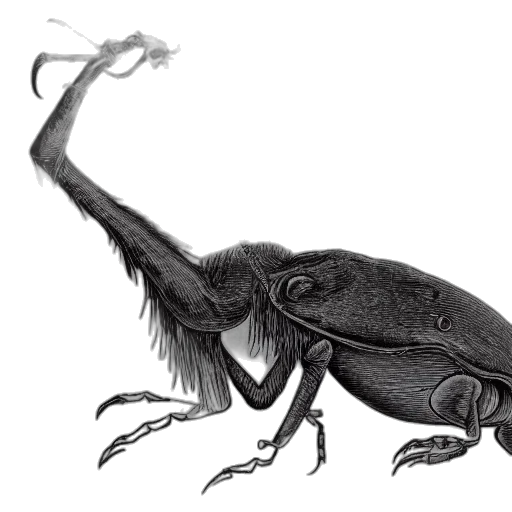 creature, animal, dragon, staff, concept art, photorealistic, pencil sketch, enormous transparent PNG cut-out