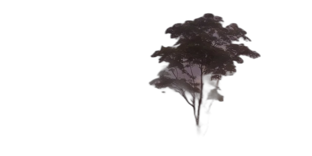 tree, hair, crown, umbrella transparent PNG cut-out