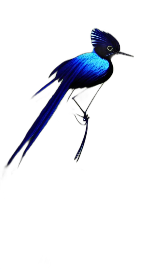 hair, staff, animal, umbrella transparent PNG cut-out