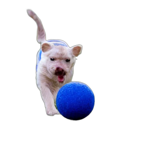 animal, staff, creature, hat, photorealistic, 3d render, spamton, playing transparent PNG cut-out