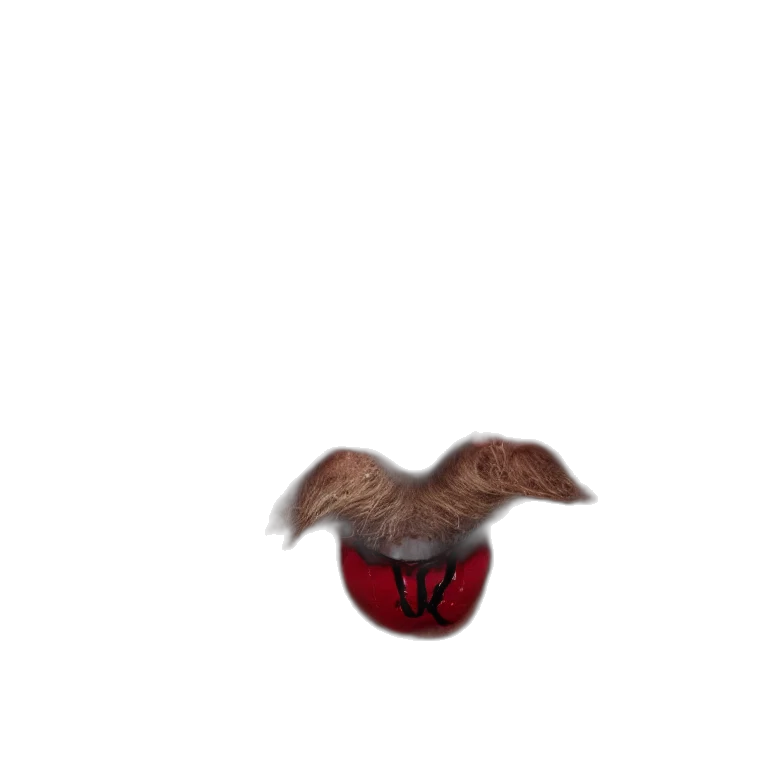 hair, hat, mask, creature transparent PNG cut-out