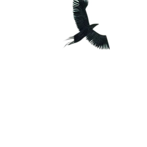 animal, staff, dragon, creature transparent PNG cut-out