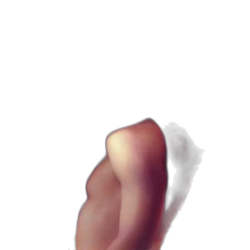 face, hair, shoes, creature, photorealistic, 3d render, concept art, pixel art transparent PNG cut-out