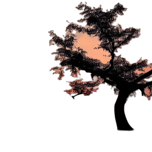 tree, crown, hair, animal transparent PNG cut-out