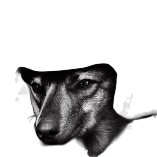 hat, face, animal, mask, photorealistic, pencil sketch, watercolor, concept art transparent PNG cut-out