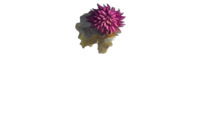 flower, crown, hair, umbrella, 3d render, photorealistic, vaporwave, concept art transparent PNG cut-out