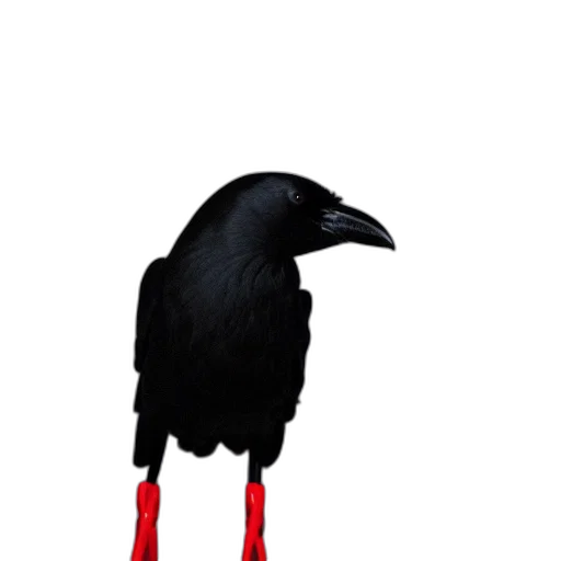 animal, staff, umbrella, creature transparent PNG cut-out