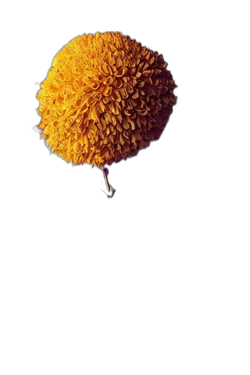flower, umbrella, staff, food, photorealistic, 3d render, concept art, pixel art transparent PNG cut-out