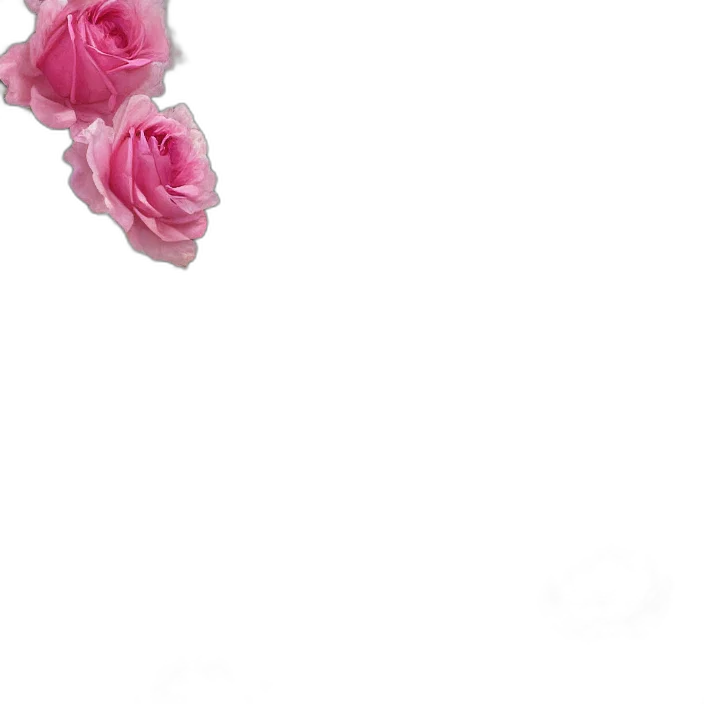 flower, jewelry, crown, dress transparent PNG cut-out