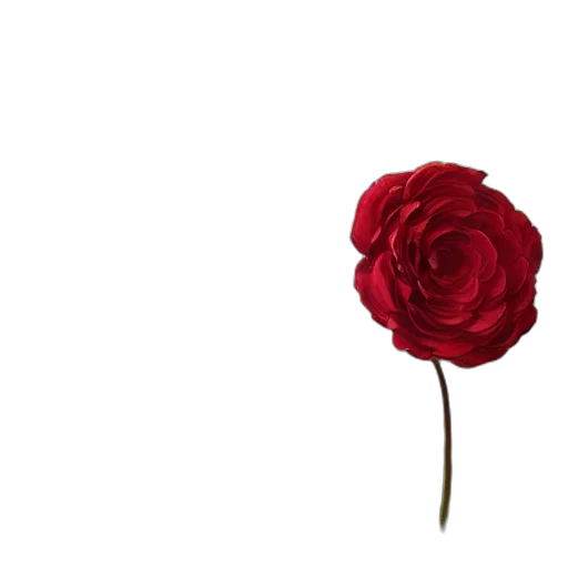 flower, crown, jewelry, weapon transparent PNG cut-out