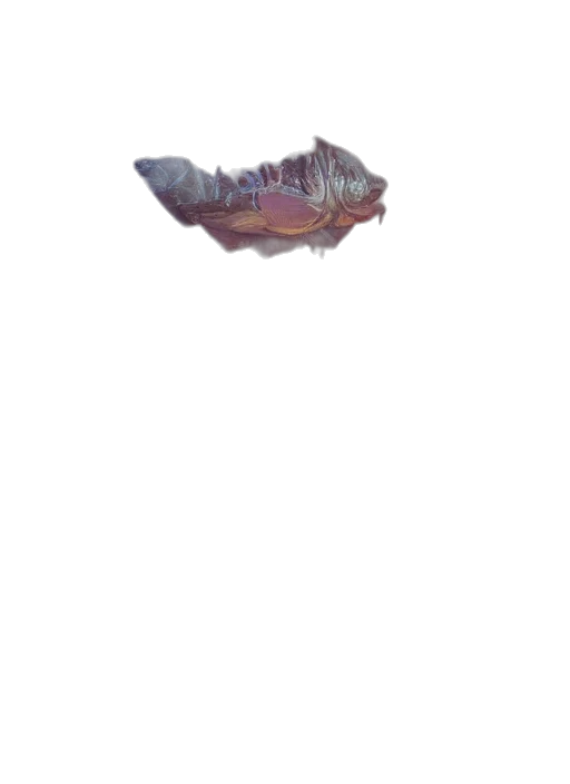 creature, weapon, dragon, animal transparent PNG cut-out