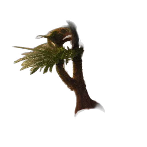 tree, hair, staff, hat, 3d render, photorealistic, concept art, fantasy art transparent PNG cut-out