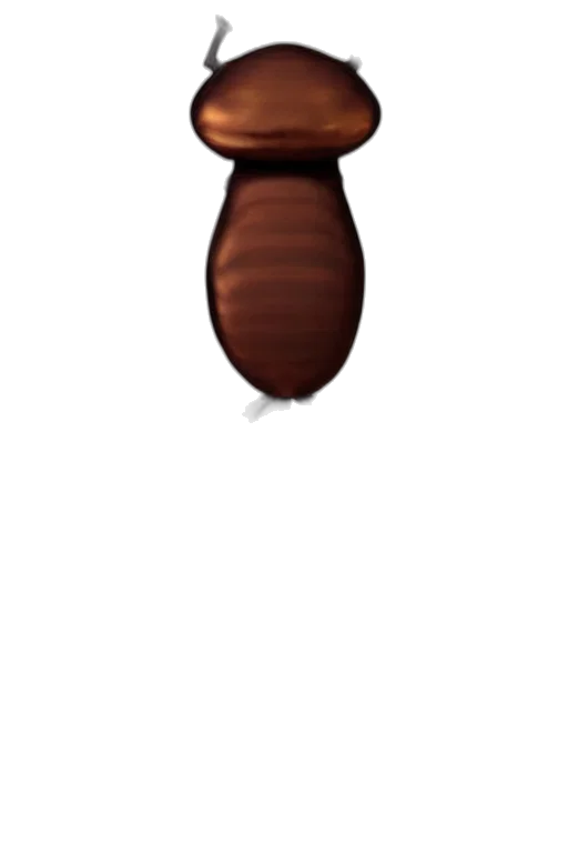animal, hair, creature, staff, pixel art, concept art, 3d render, photorealistic transparent PNG cut-out