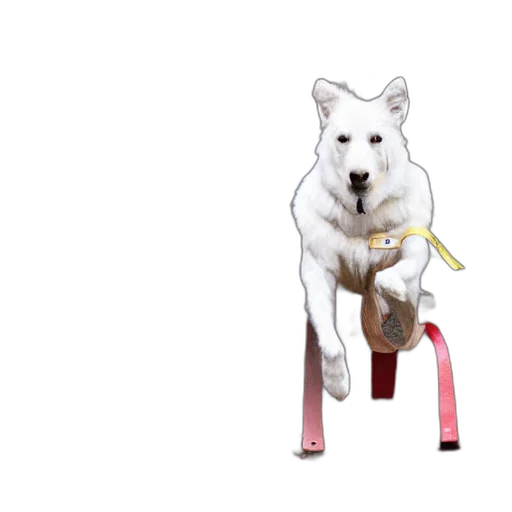 staff, animal, furniture, weapon transparent PNG cut-out