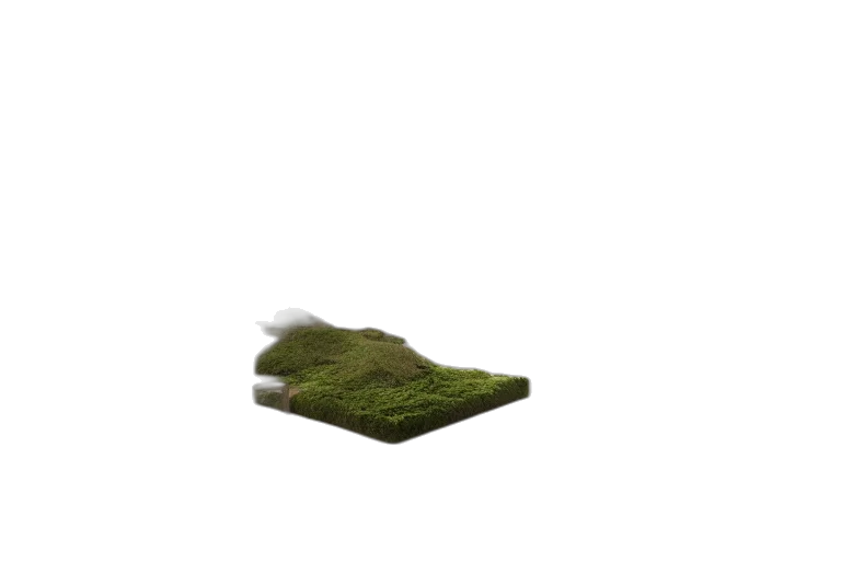 shoes, tree, hat, dress, 3d render, photorealistic, concept art, pixel art transparent PNG cut-out