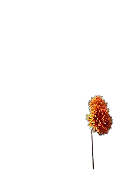 flower, hair, crown, staff, 3d render, photorealistic, concept art, pixel art transparent PNG cut-out