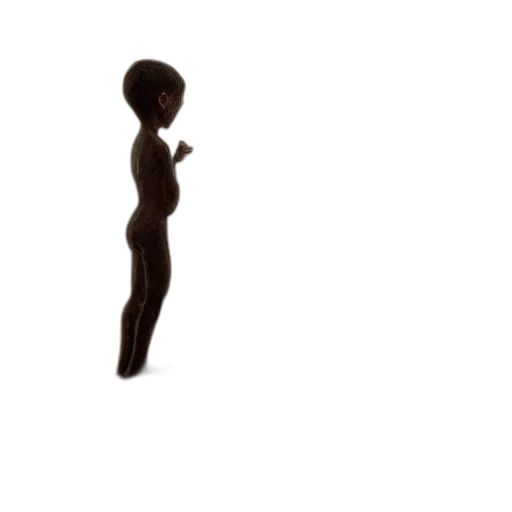 dress, hair, staff, jewelry transparent PNG cut-out