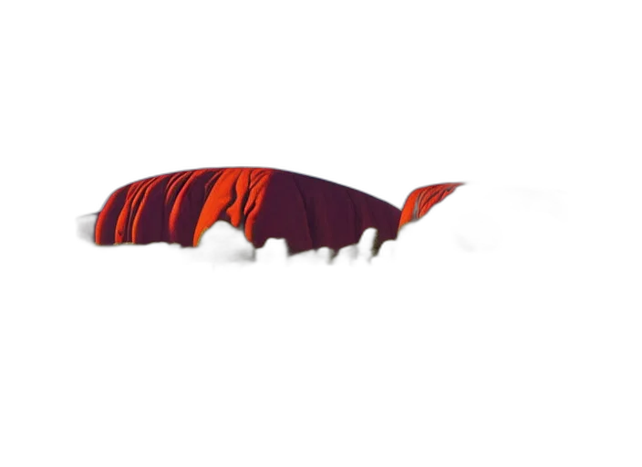 hat, dragon, crown, umbrella transparent PNG cut-out