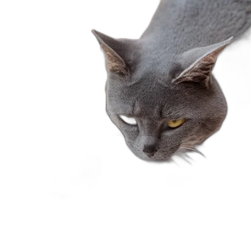 animal, creature, face, mask transparent PNG cut-out