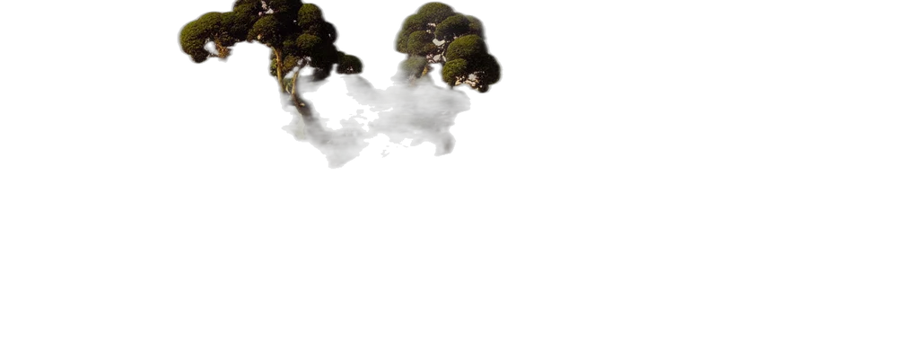 tree, dragon, crown, hair transparent PNG cut-out