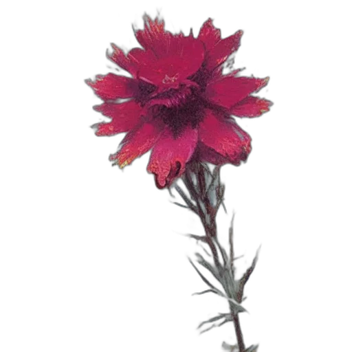 flower, crown, animal, staff, photorealistic, 3d render, oil painting, watercolor transparent PNG cut-out