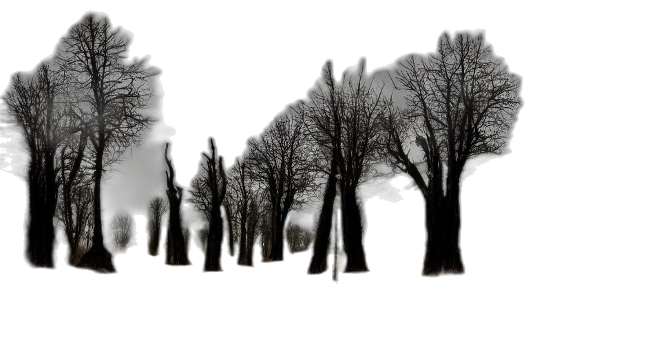 tree, crown, hair, sword transparent PNG cut-out