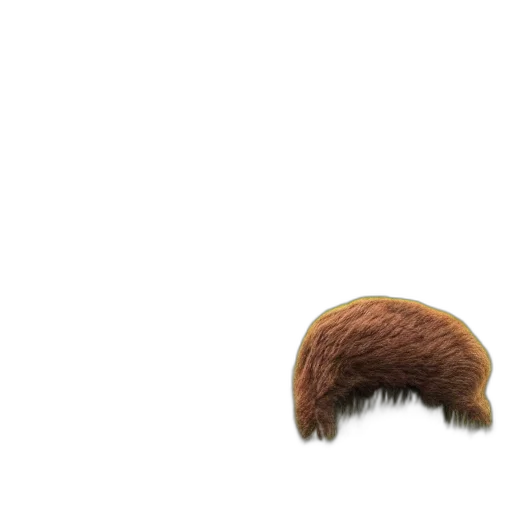 hair, hat, animal, creature transparent PNG cut-out