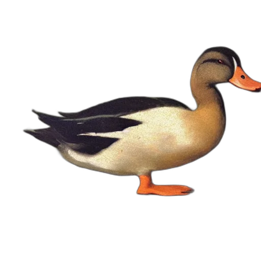 animal, creature, crown, staff transparent PNG cut-out