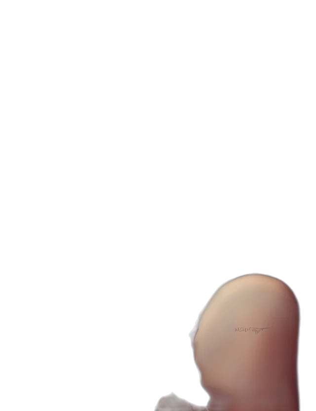 face, hair, mask, robot, 3d render, photorealistic, concept art, pixel art transparent PNG cut-out