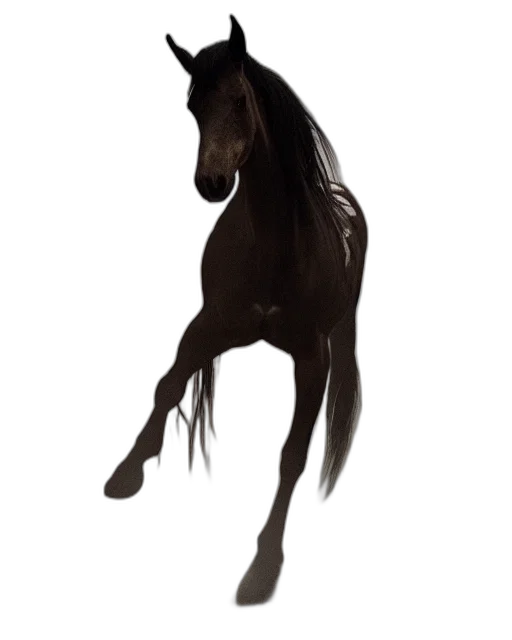 animal, creature, staff, hair transparent PNG cut-out