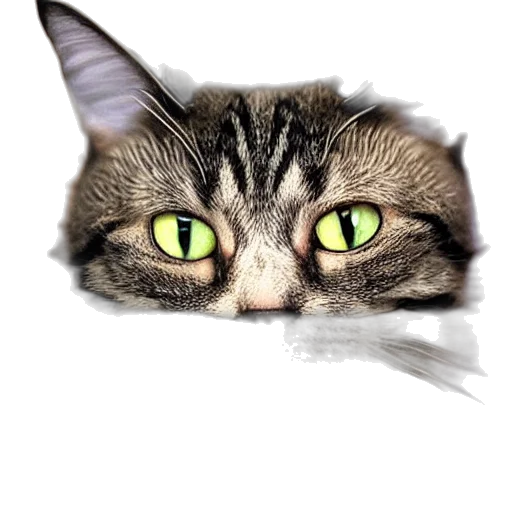 animal, face, creature, staff transparent PNG cut-out