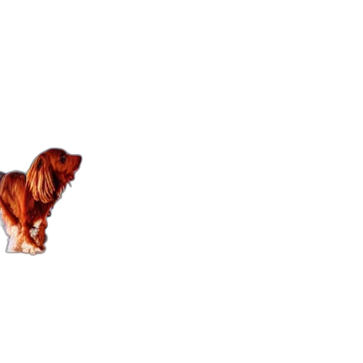 animal, creature, staff, weapon transparent PNG cut-out