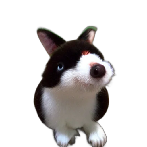 staff, animal, hat, creature, 3d render, photorealistic, concept art, anime transparent PNG cut-out