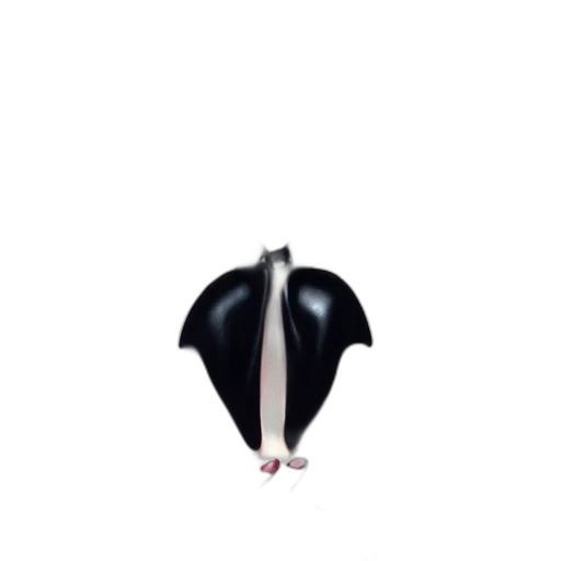 umbrella, animal, weapon, staff transparent PNG cut-out