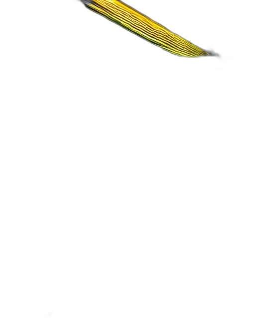 staff, weapon, flower, sword transparent PNG cut-out
